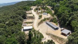 Arifiye Belediyesi Sokak Hayvanları Barınağı Hizmete Girdi