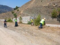 Bursa Büyükşehir’den yangın bölgelerinde çevre temizliği
