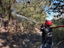 4 saatte 3 orman yangını kontrol altına alındı