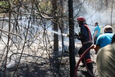 Sakarya Büyükşehir İtfaiyesi yangın bölgelerinde tüm gücüyle müdahalede