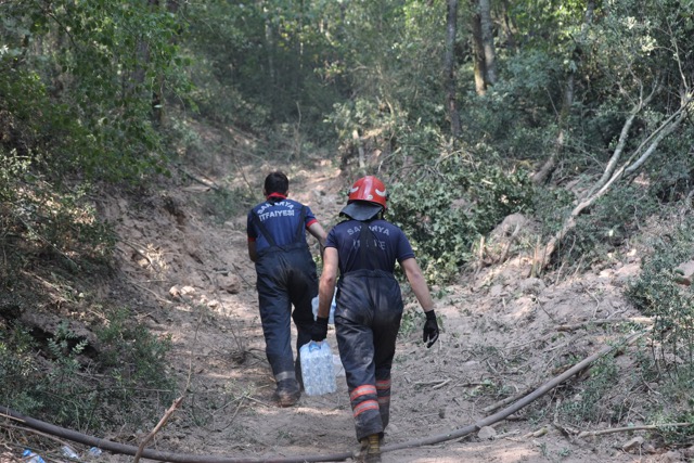 Sakarya Büyükşehir'den orman yangınlarıyla ilgili açıklama: İkisi kontrol altında
