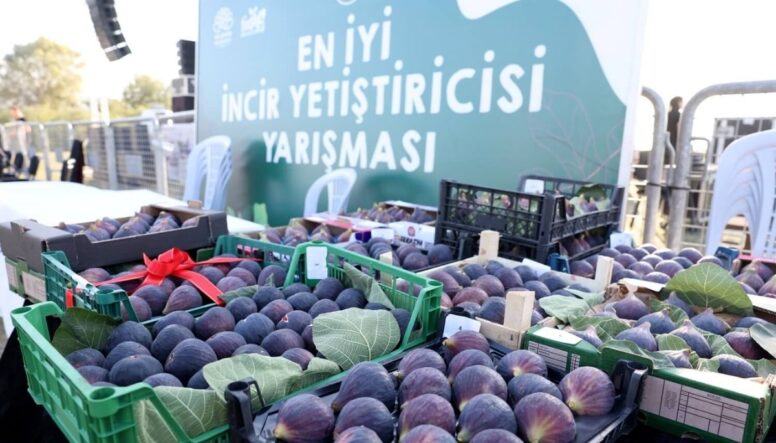 11. Akçalar İncir Festivali 14 Eylül’de başlıyor