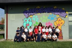 Can dostların yeni dünyasına hayran kaldılar