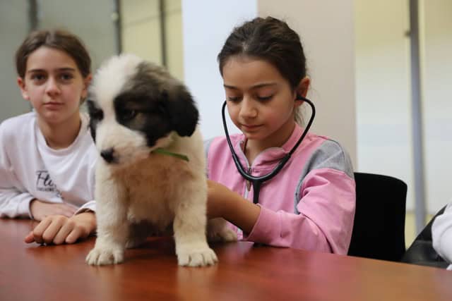 Sağlık kontrolleri yapan çocuklar ve köpek, veteriner klinik ortamında.