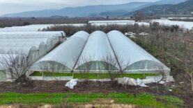 Seralar ve tarım projeleri, sürdürülebilir toprak kullanımı ve modern seracılık teknikleriyle yüksek verim sağlar.