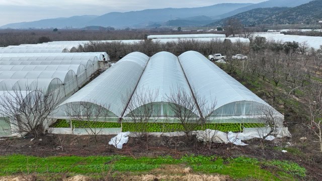 Bursa Büyükşehir Belediyesi, Gürsu’da lodos mağduru 36 çiftçiye sera naylonu dağıttı