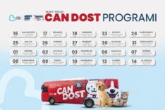 Balıkesir'de Can Dost Mobil Aracı, Mart ve Nisan Boyunca 20 İlçede Sokak Hayvanlarına Tedavi Sağlıyor