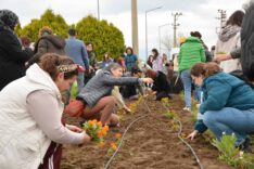 Balıkesir'de XIV. Uygulamalı Tıbbi ve Aromatik Bitkiler Kursu Yoğun Katılımla Başarıyla Sonuçlandı